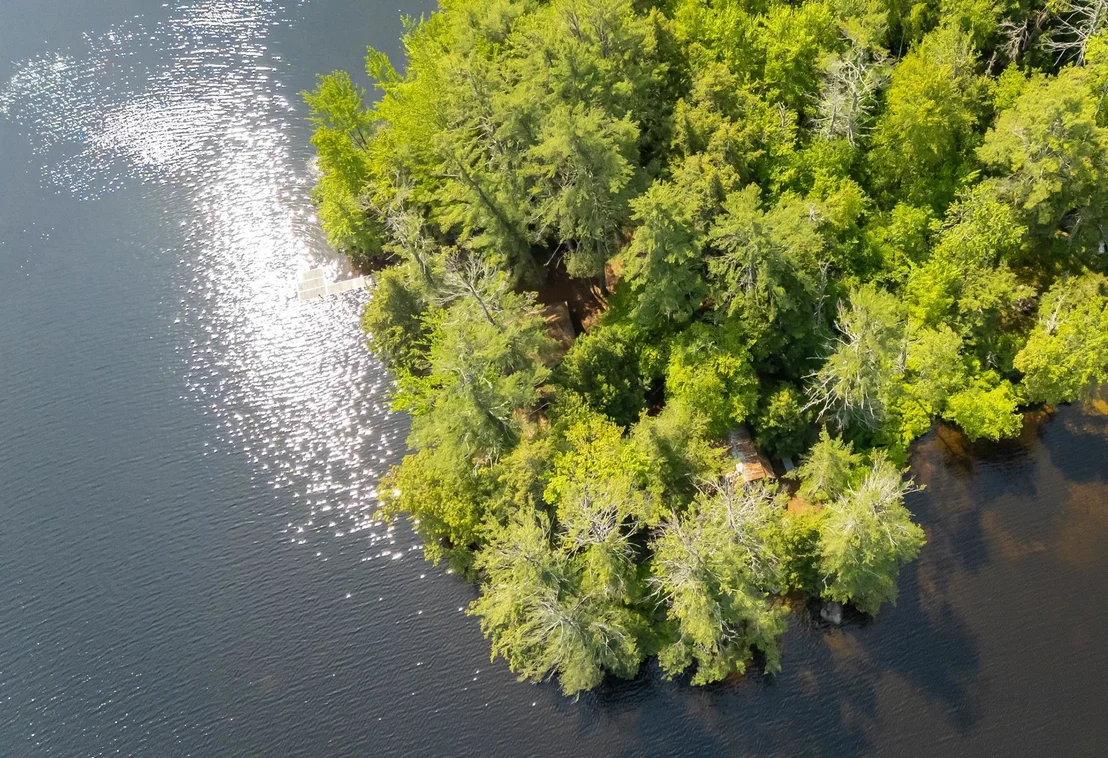 Photo of 33 Sherene Orchard