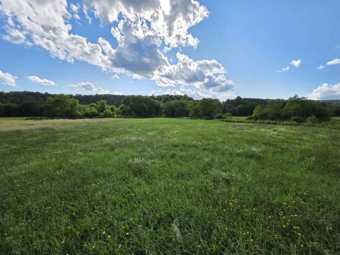 Photo of Lot#2 Gilman
