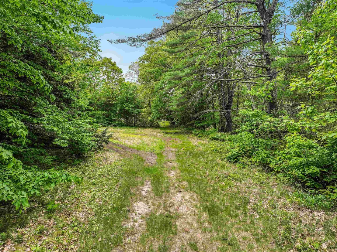 Photo of 97 Salisbury