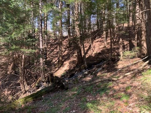 Photo of TBD VT Rt 100