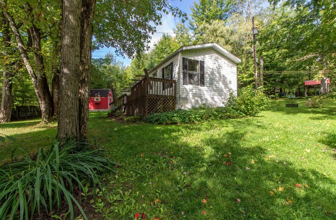Photo of 62 Maple Tree