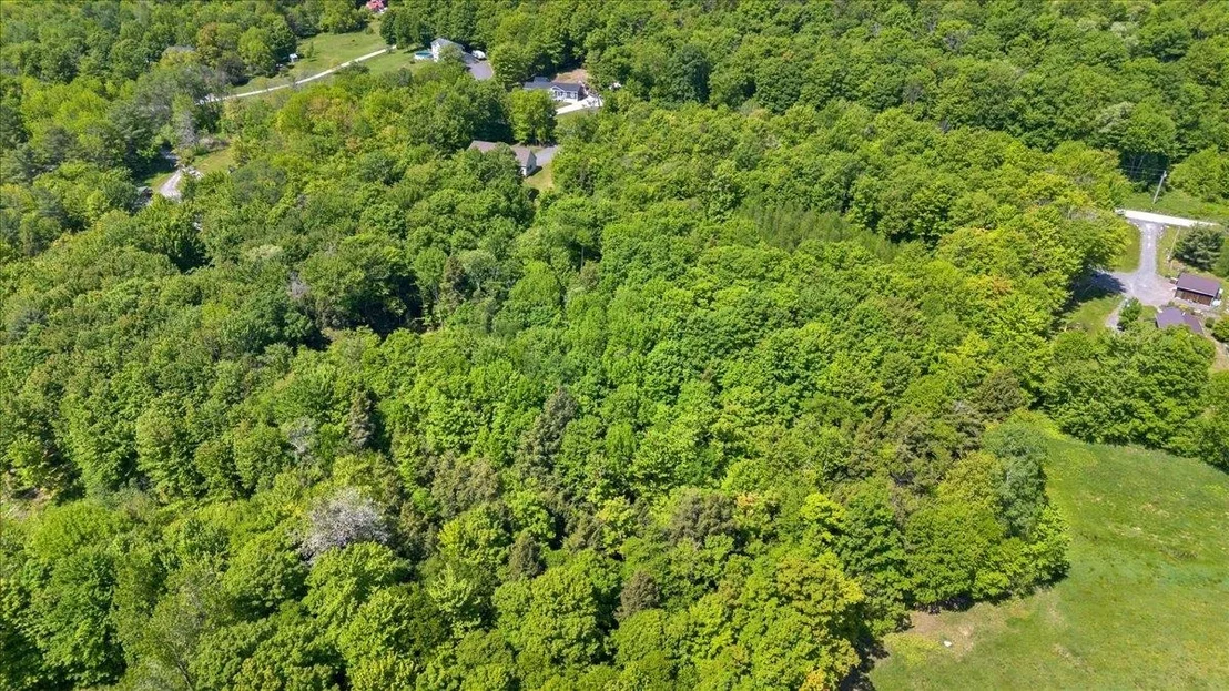 Photo of Lot 2 Pion