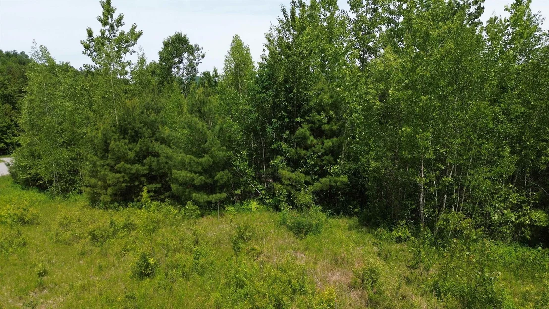Photo of 20 Appletree