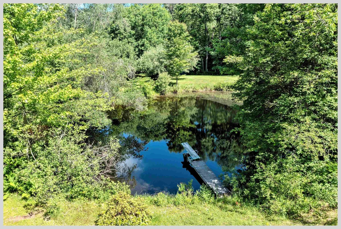 Photo of 206 River