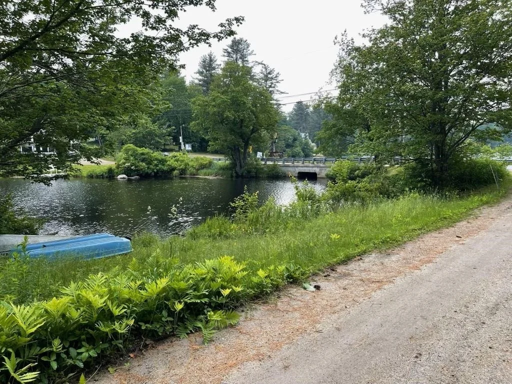Photo of 15 Dead Brook