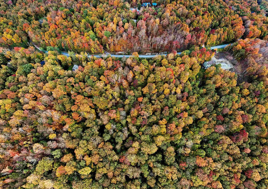 Photo of 0 East Mountain