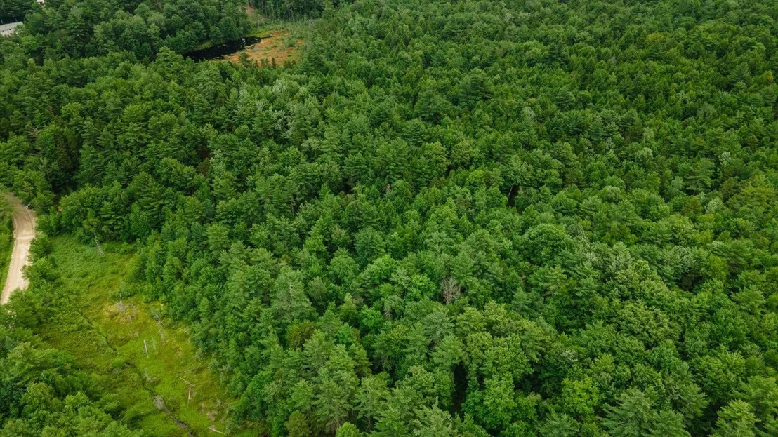 Photo of Lot 0 Pine