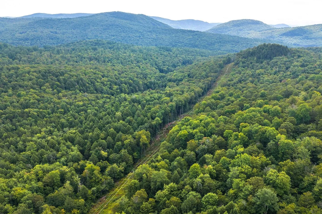 Photo of 00 Pratt Bridge