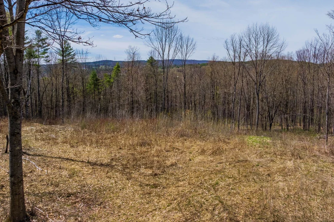 Photo of 00 Olcott