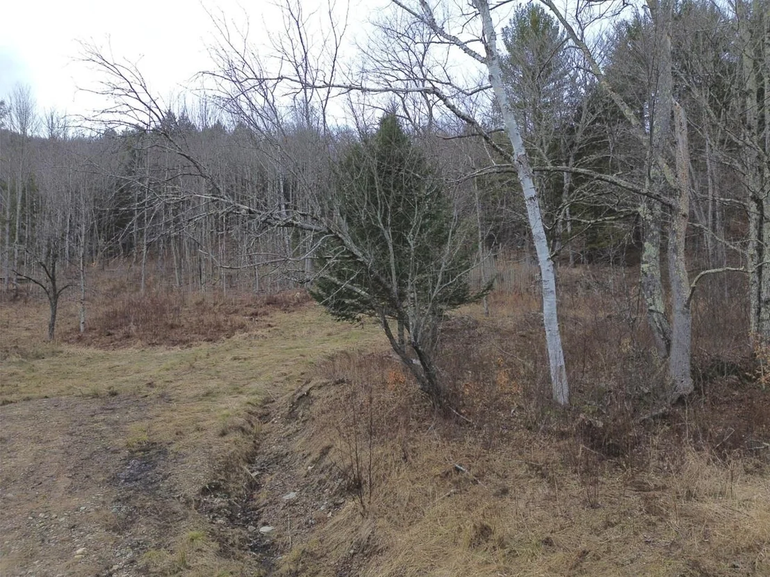 Photo of Unit 3 at 00 Bent Birch