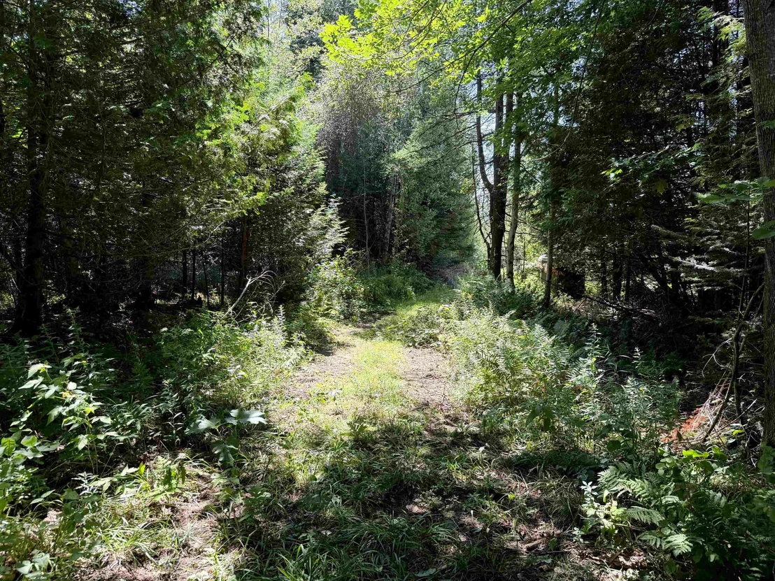 Photo of 3329 Bates Hill