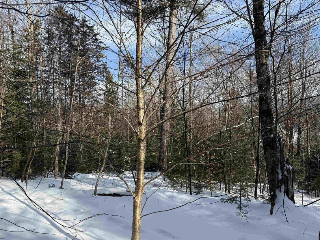 Photo of Unit 12 at 19 Stone Ridge