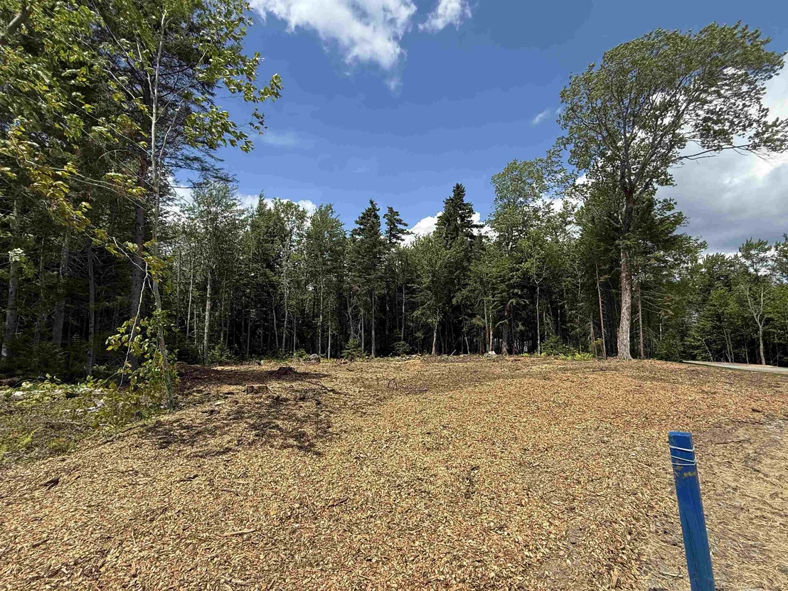Photo of 87 Mirror Lake