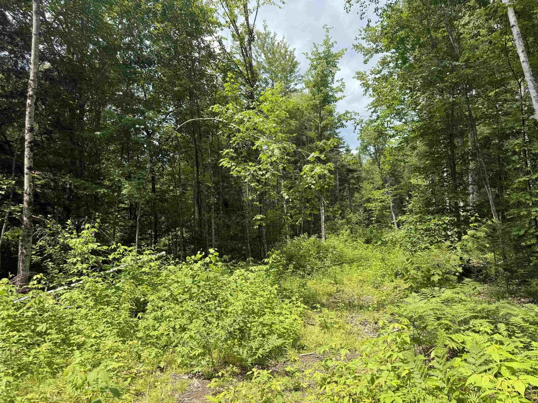 Photo of Lot 5 VT Route 102