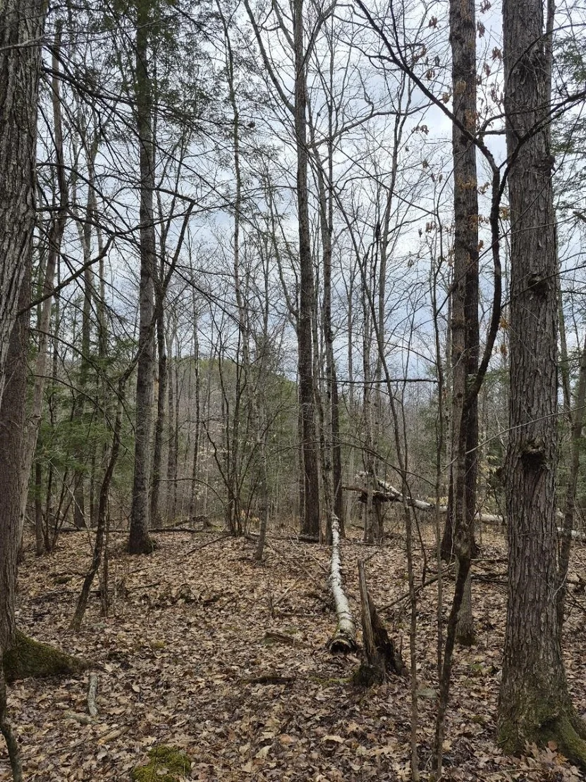 Photo of Unit 1 at Pond