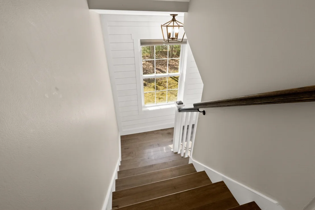 Photo of 35 Winterberry