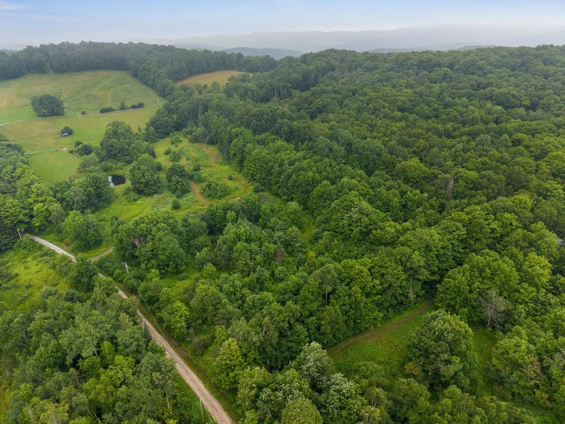 Photo of 45 Emerson