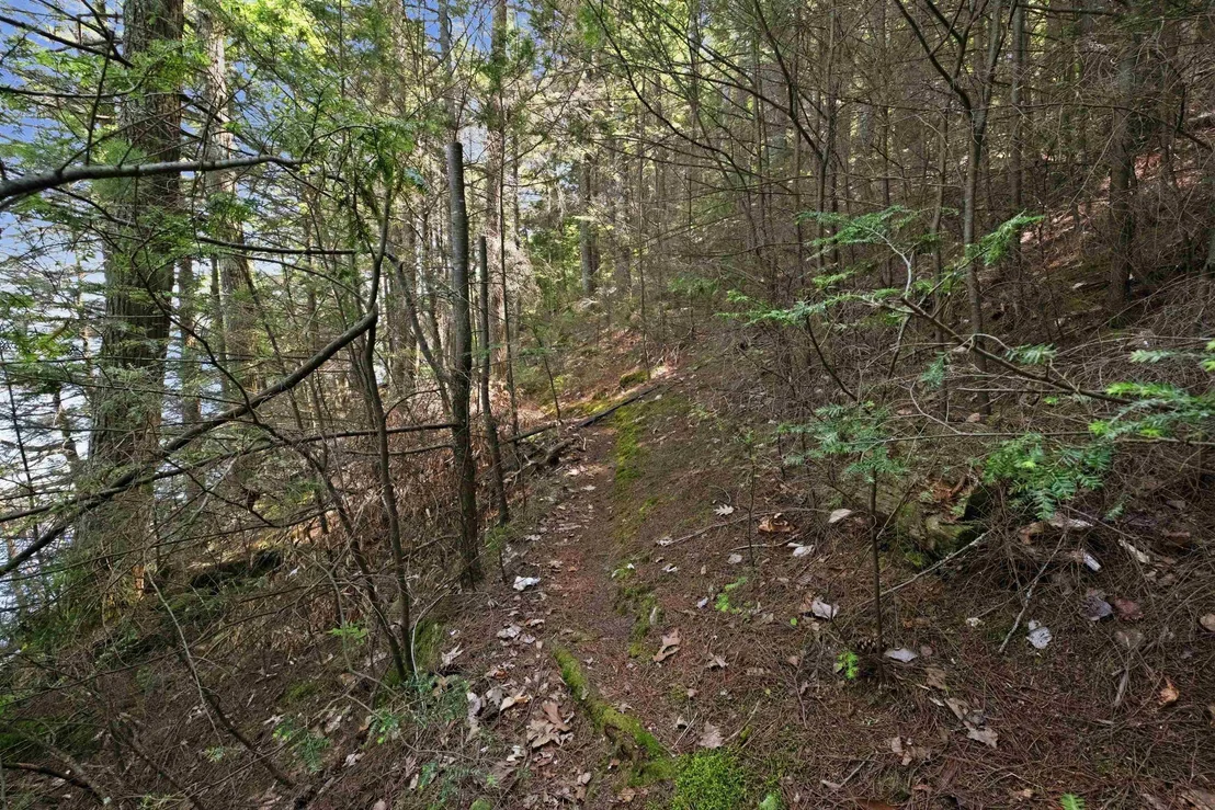 Photo of 23 Diamond