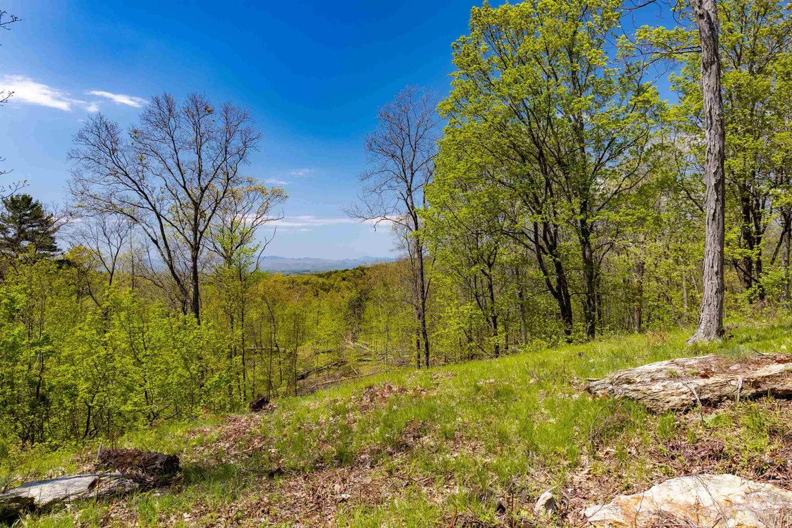 Photo of 189 Shagbark