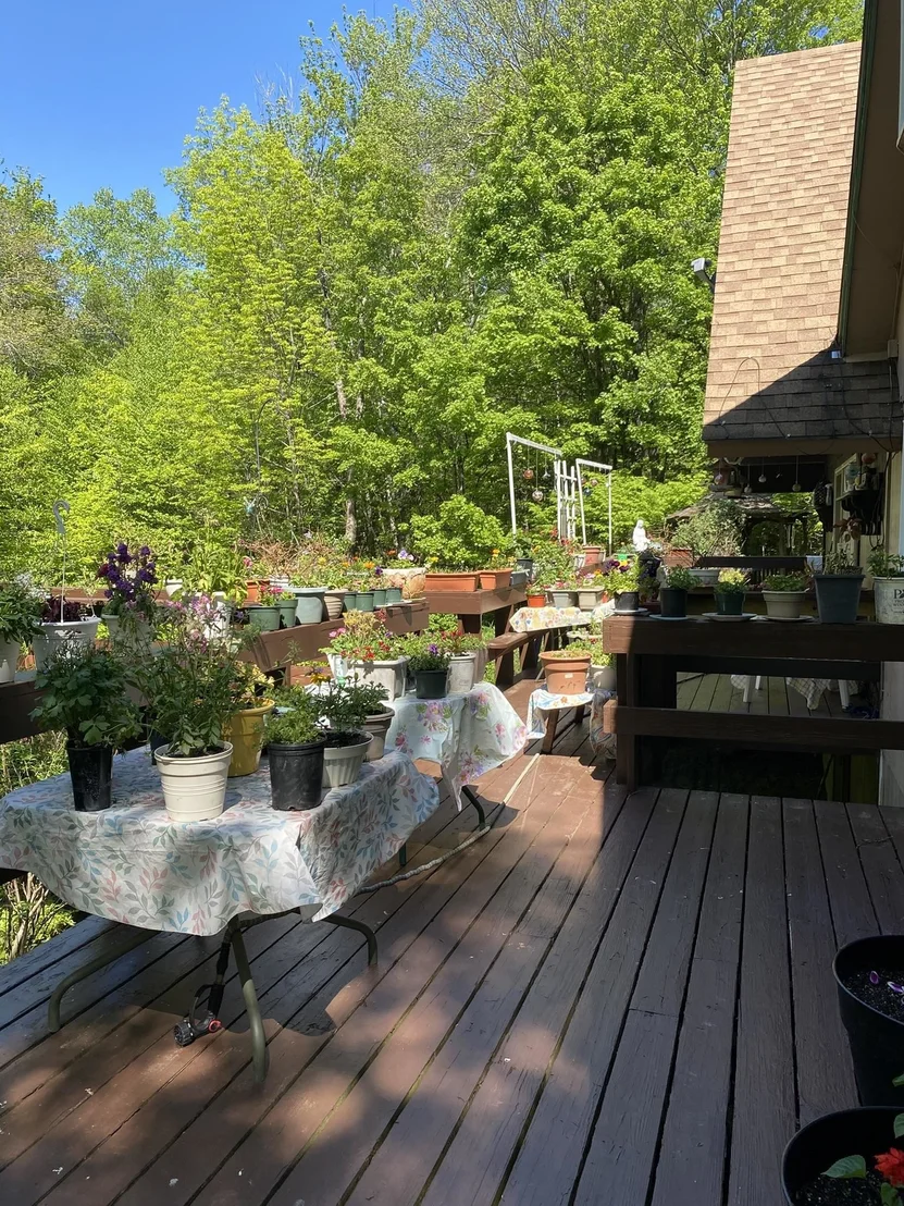 Photo of 985 Chapel Hill