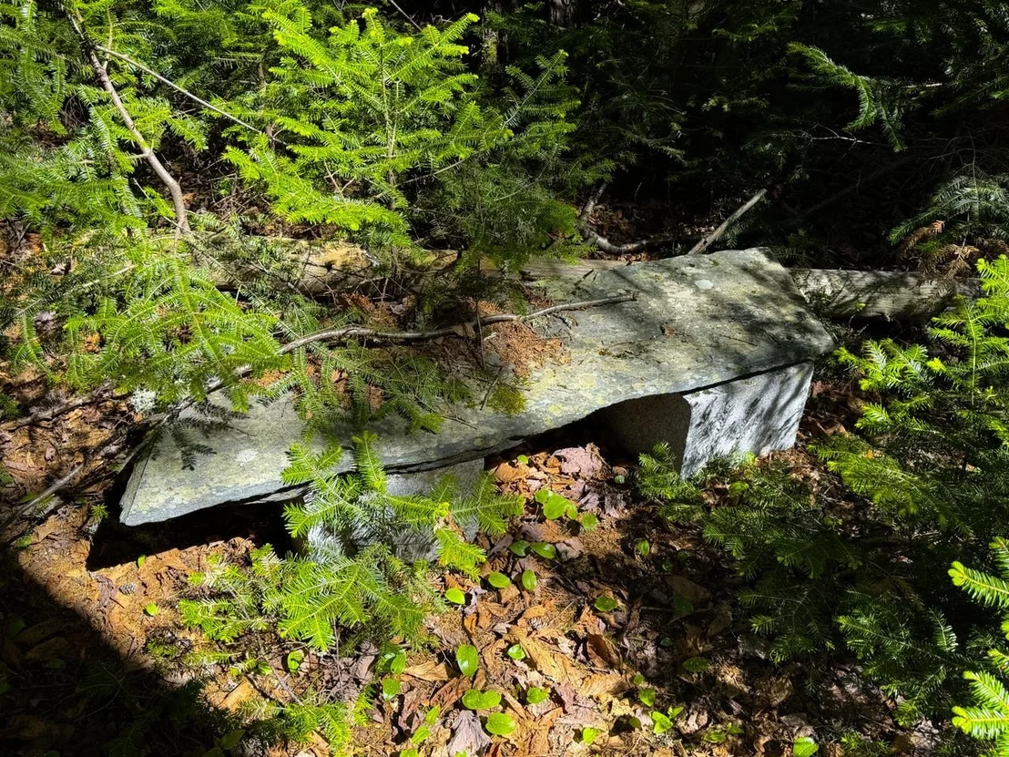 Photo of 297 Robinson