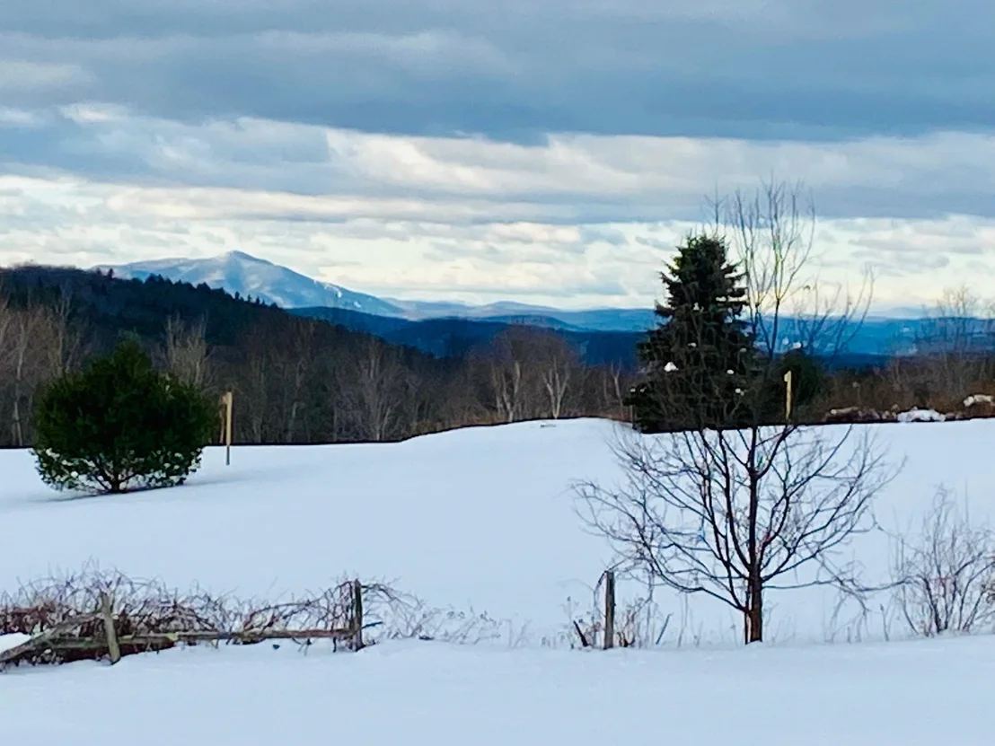 Photo of 25 Wolfeboro
