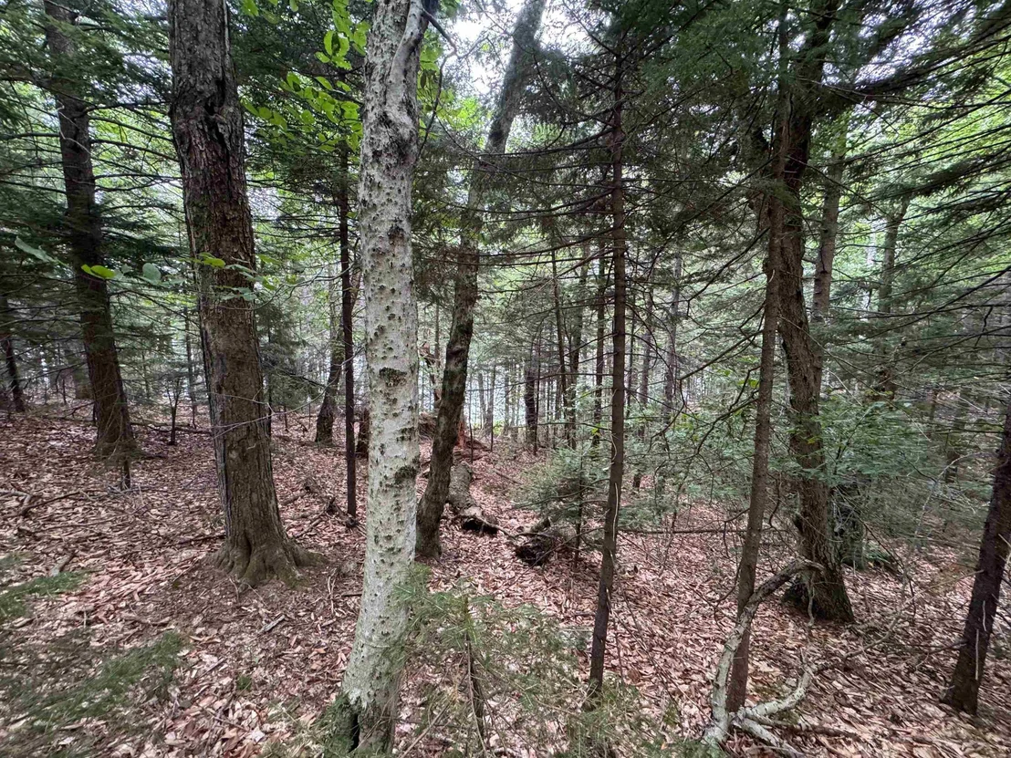Photo of 00 Lake Hill