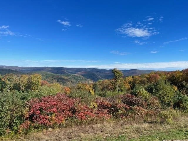 Photo of 167 Ward Hill
