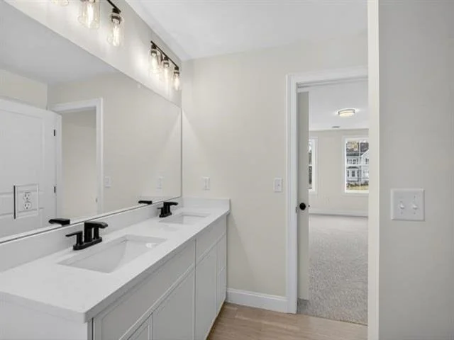 Photo of 9 Winterberry