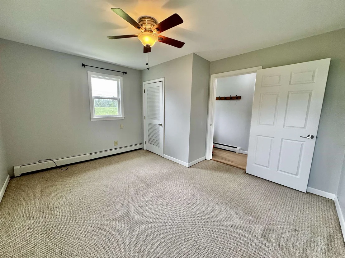 Photo of 152 Blue Spruce