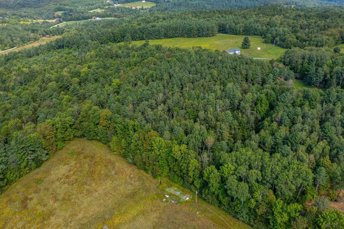 Photo of Lot #4 Meadow