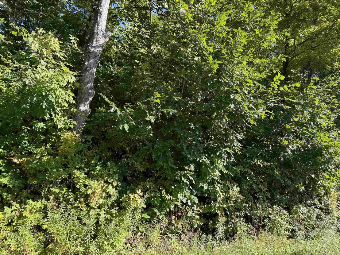 Photo of 163 Murphy