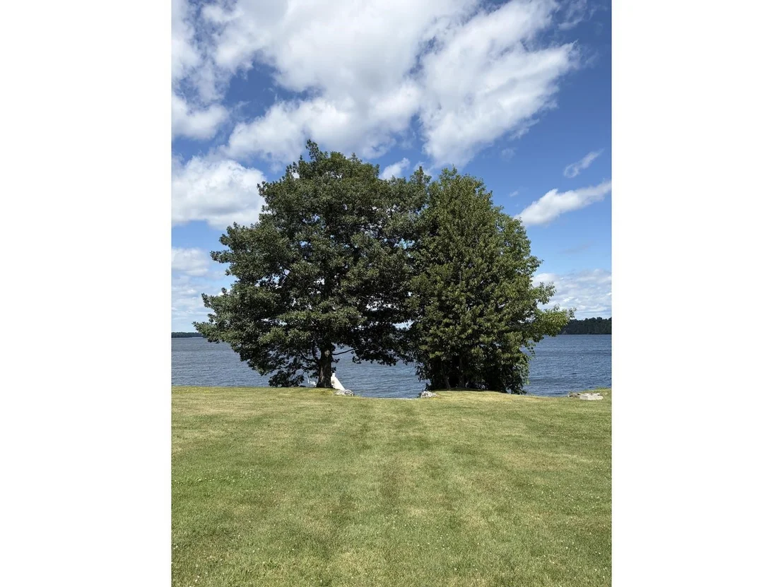 Photo of 49 Hill