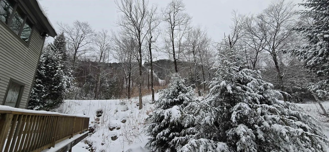 Photo of 31 Ammonoosuc