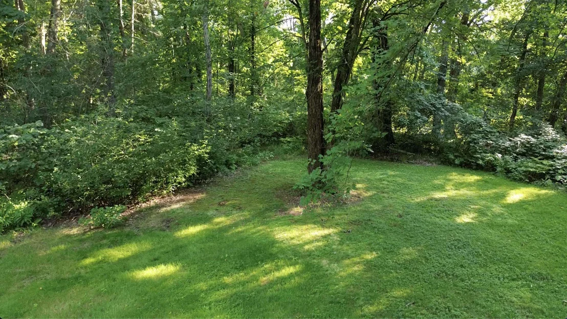 Photo of 25 Chagnon