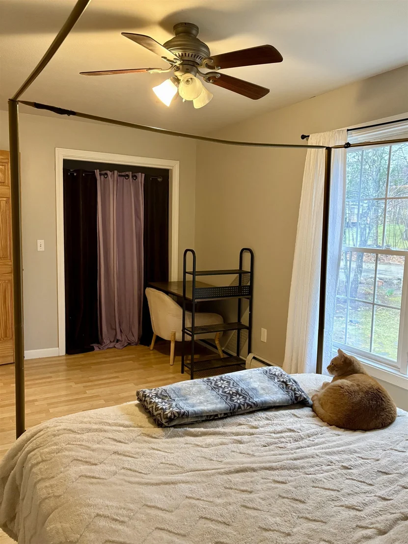 Photo of 7 Sampson
