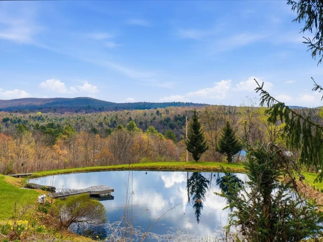 Photo of 12 Briar Patch
