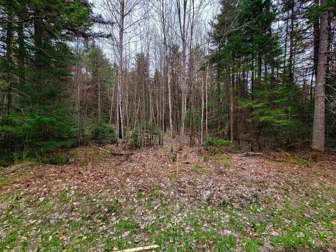 Photo of 280 Guyette