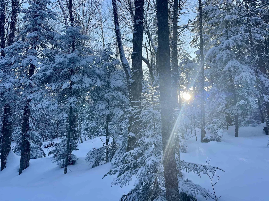 Photo of 00 Mountain