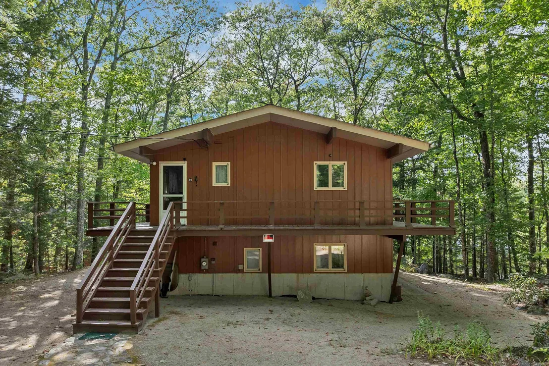 Photo of 49 Kings Pine