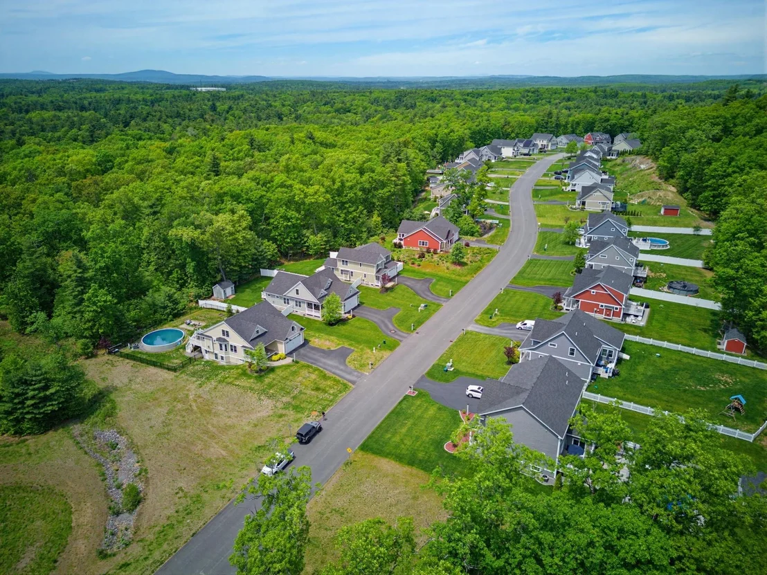 Photo of 52 Calla