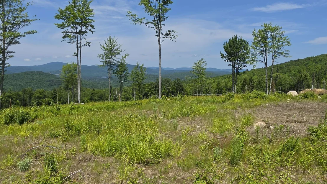 Photo of Map R6 Lot 1C Deer Crossing