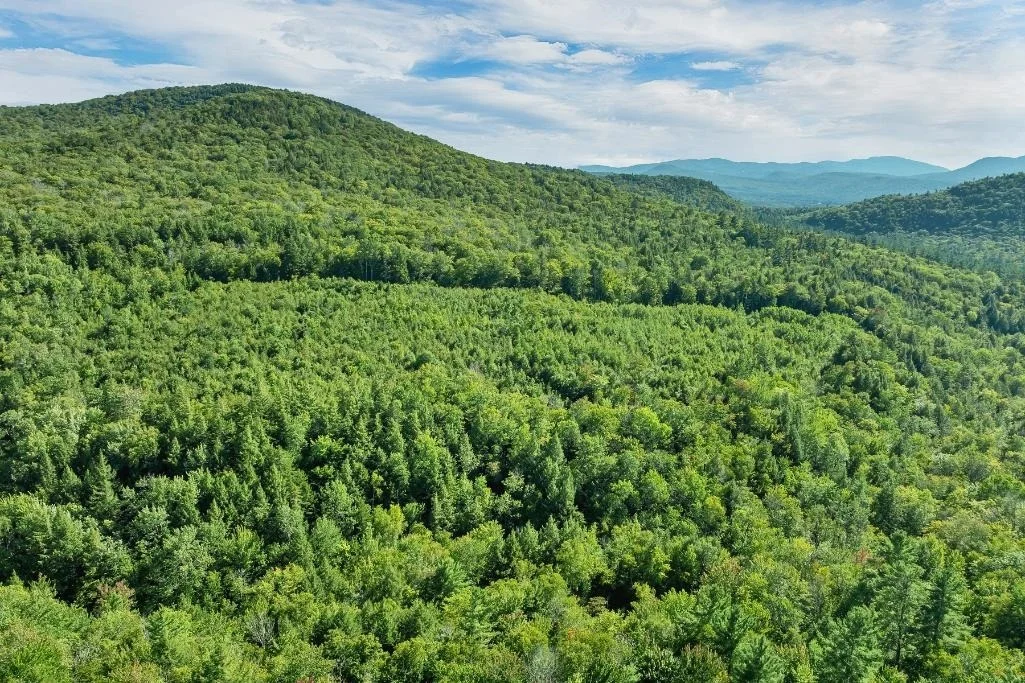 Photo of 32 Johnson Brook