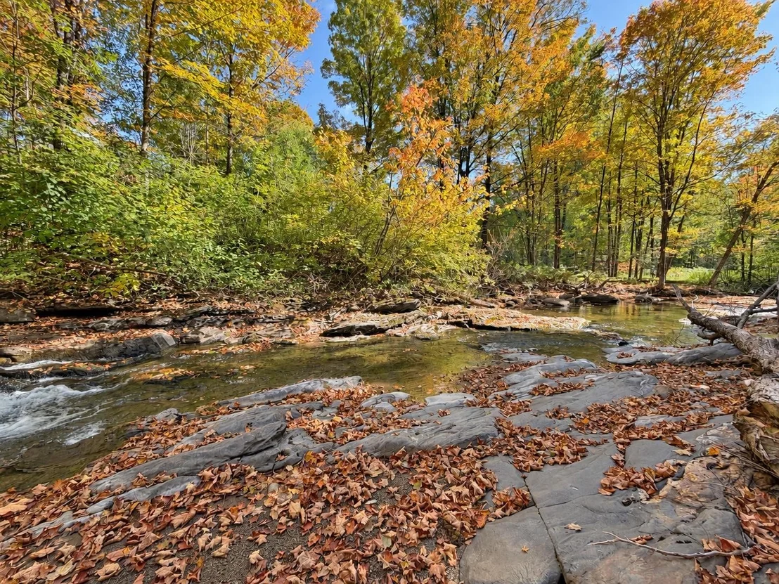 Photo of 23 Bugbee Crossing