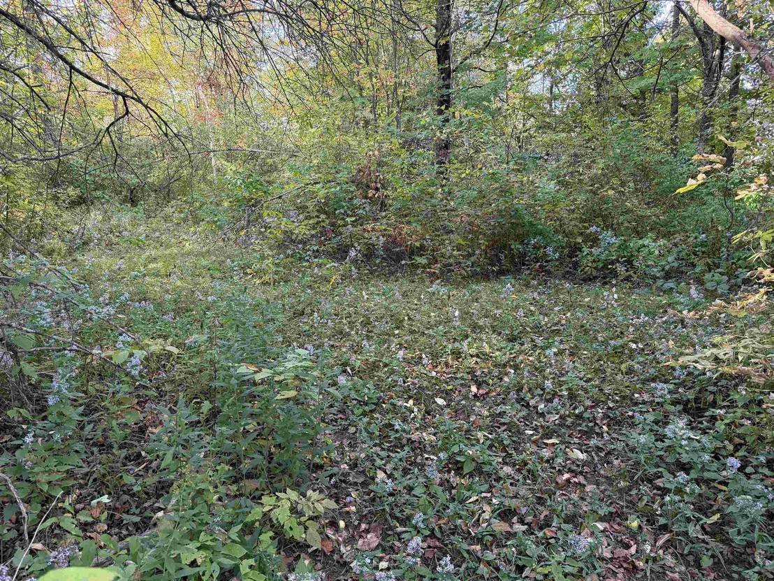Photo of 99 River