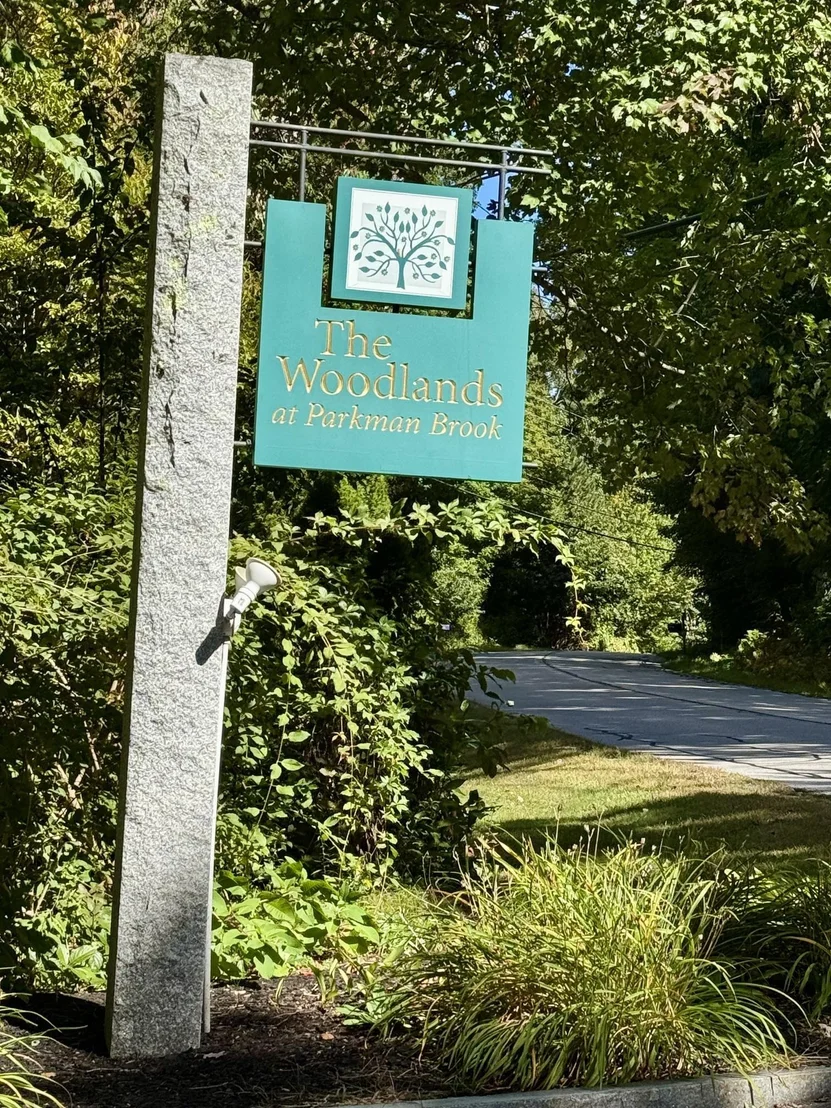 Photo of 7 Drumlin