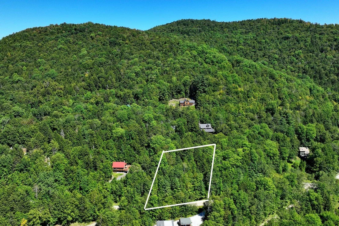 Photo of Lot 49 Spring