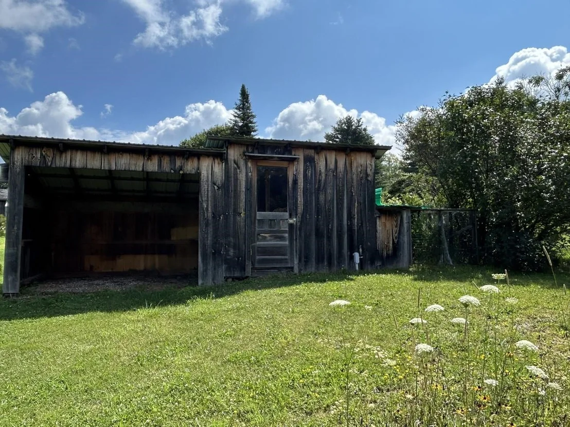 Photo of 150 Piney Woods