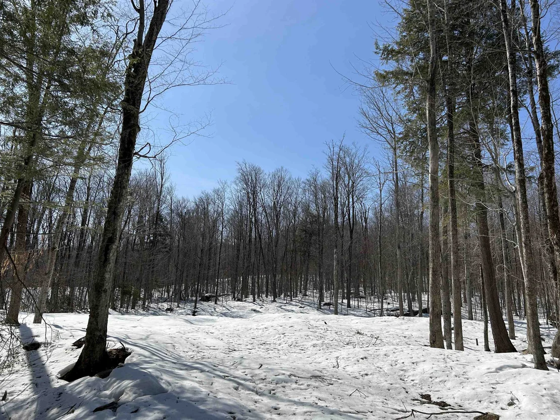 Photo of lot#2 Margeaux