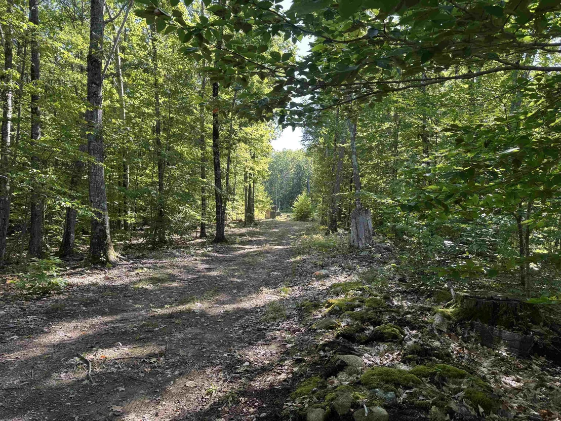Photo of 26 Circuit